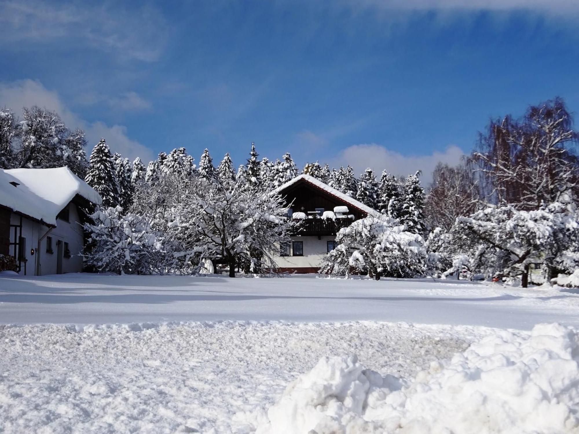 Holiday Home In Lossburg Near The Ski Area Extérieur photo